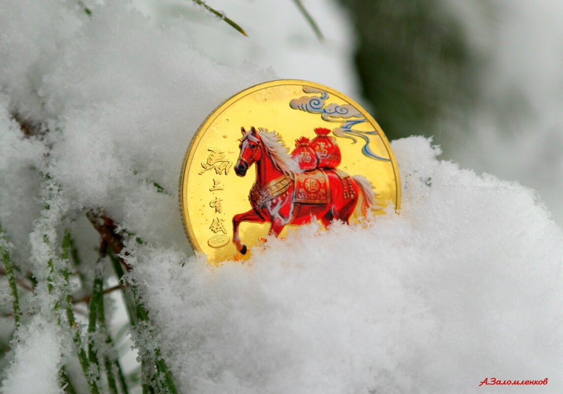 Здоровья и удачи в новом году! - Андрей Заломленков