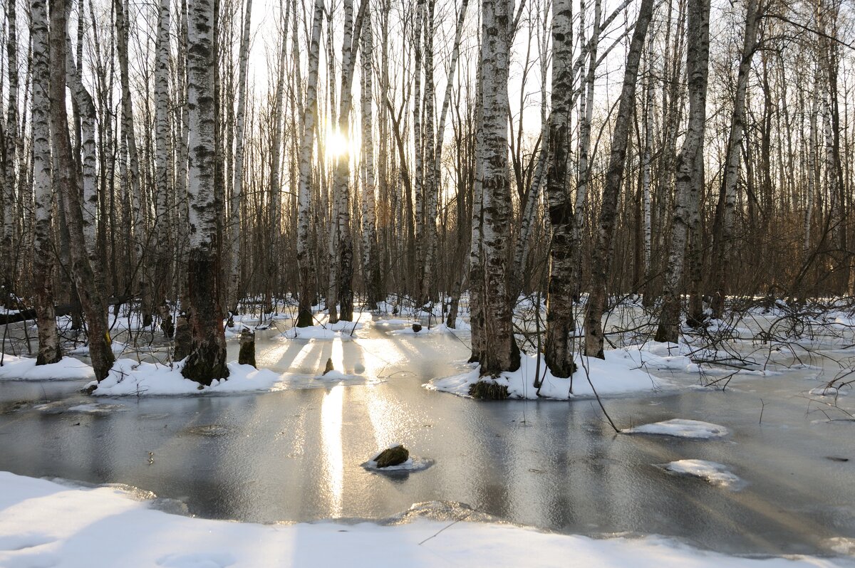 Апрель. - Иван Генералов