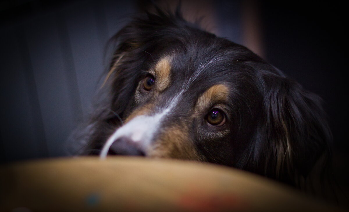 манящие запахи - Артём Евтюхов