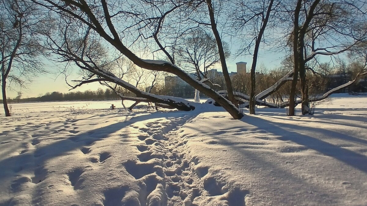 Петергоф. Ольгин пруд - Наталья Герасимова Петергоф. Ольгин пруд - Наталья Герасимова