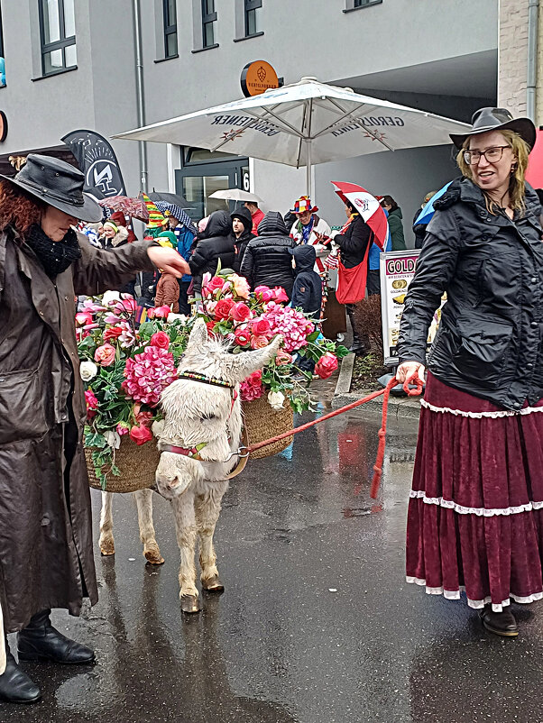 Грустно ослику под дождём - Valziwa 