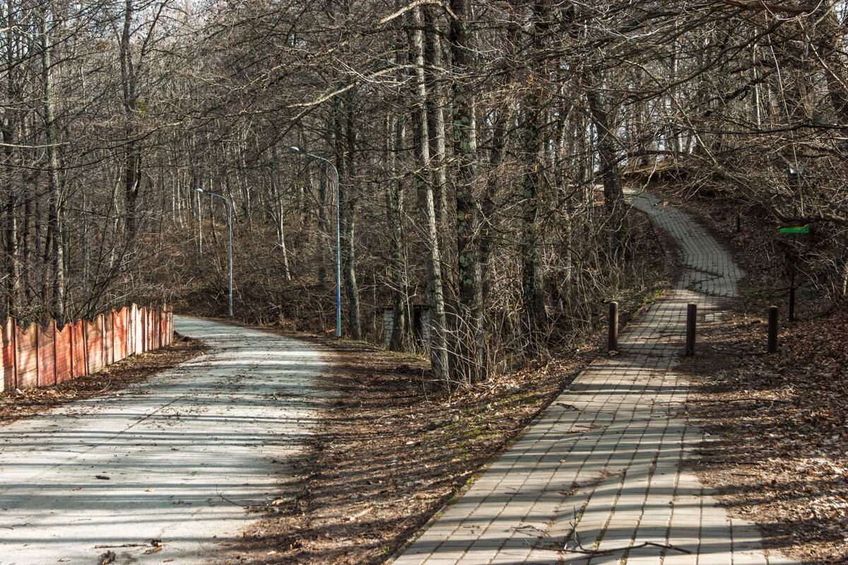 Начало прогулки в Горе Физиабго - Игорь Сикорский Начало прогулки в Горе Физиабго - Игорь Сикорский