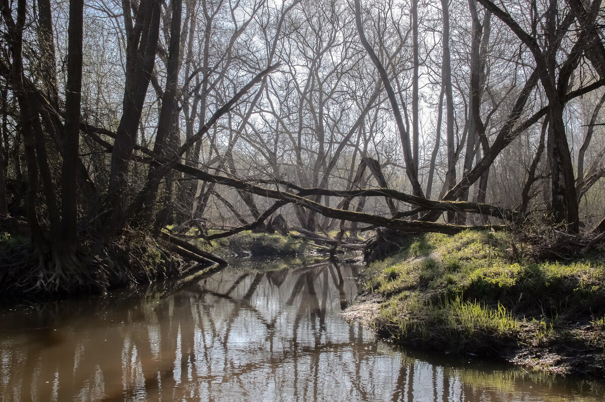 Уже скоро. - Николай Уже скоро. - Николай