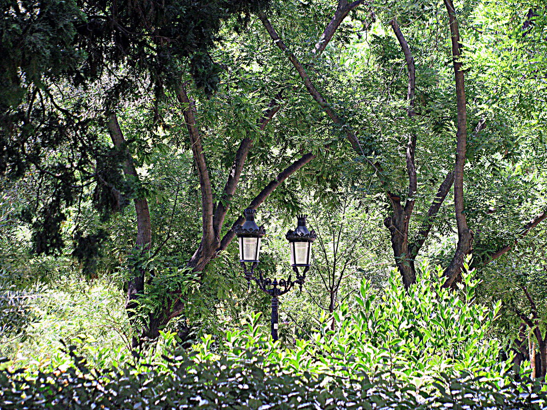 Барселона. - Владимир Драгунский