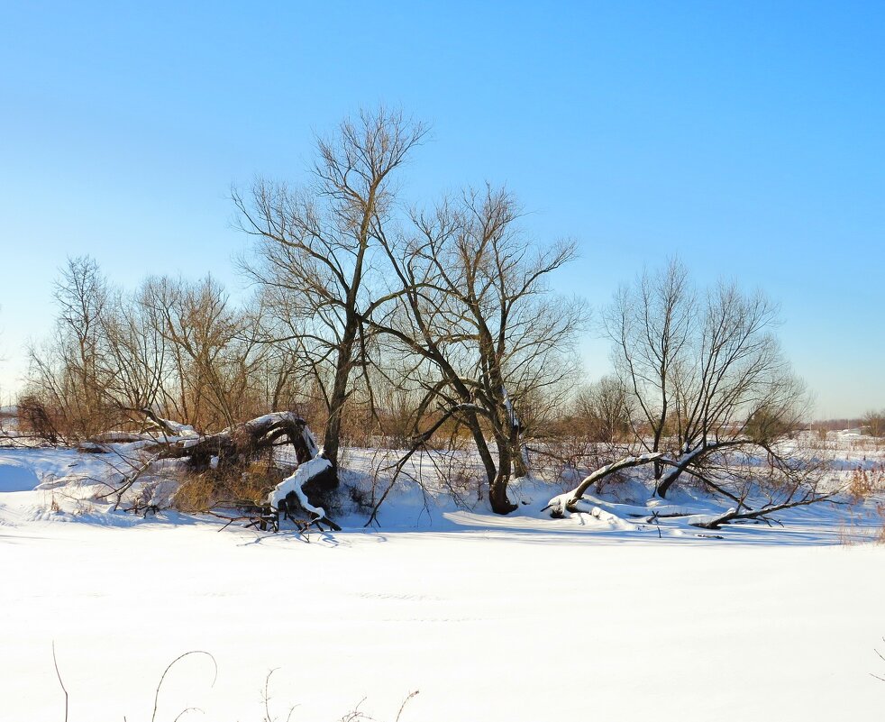 Солнечный день - Андрей Снегерёв
