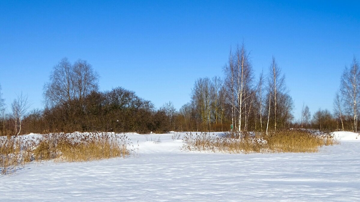 Зима в феврале. - Милешкин Владимир Алексеевич 