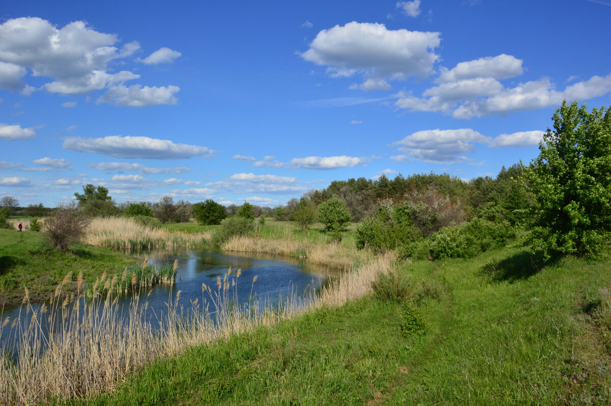 У реки. - Виктор У реки. - Виктор