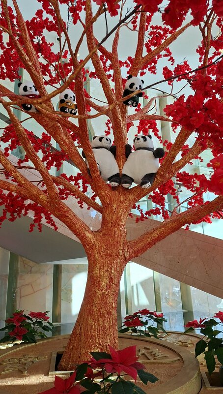 Им сверху видно все - ИРЭН@ .