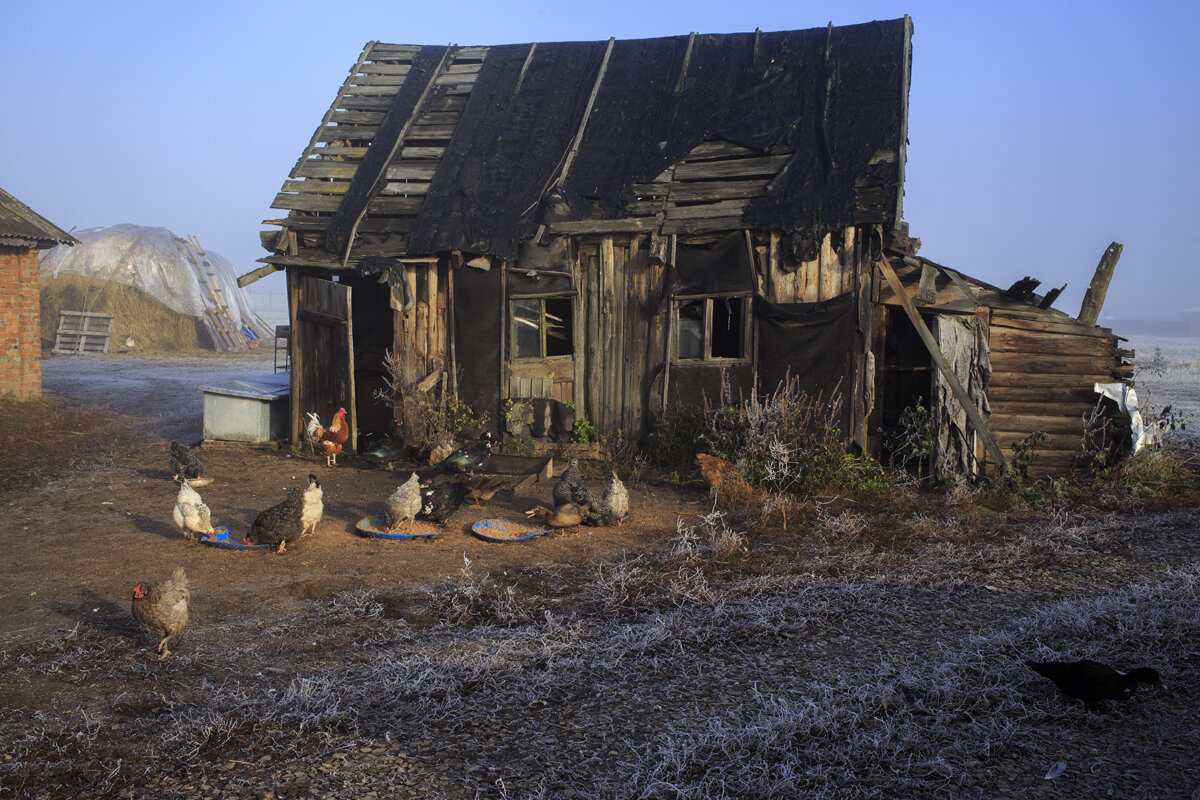 Утро. Туман. Архитектура  21 века - Владимир Гришин