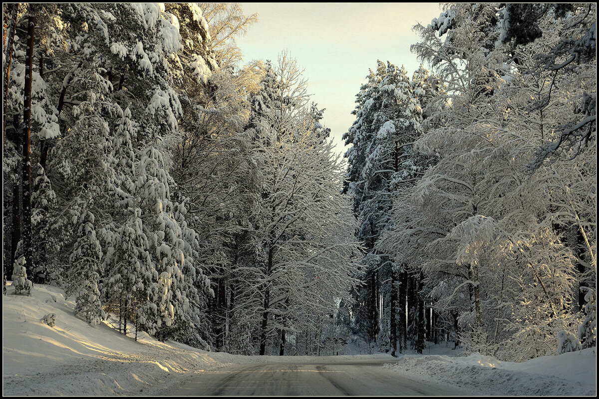 Зимняя дорога - Aleksandr Gal