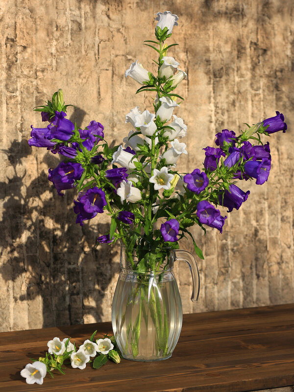 Колокольчики - Владимир Гришин