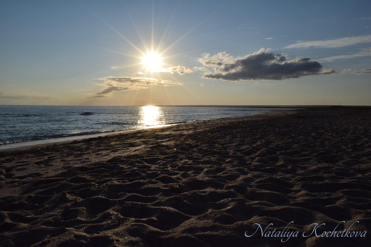 Природа Крыма - Amazing Cosmea Природа Крыма - Amazing Cosmea