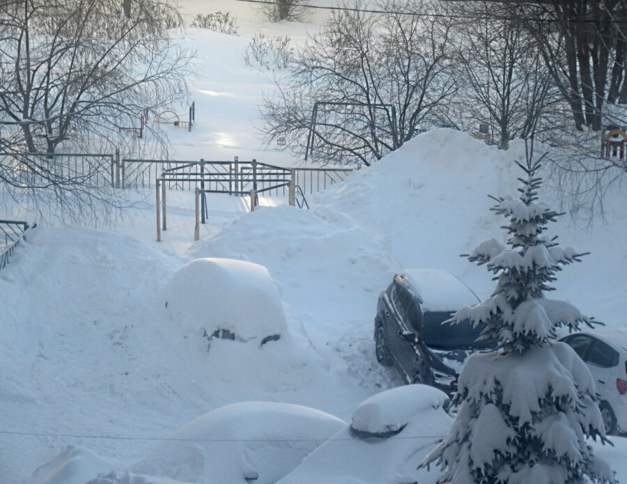 Жду    хозяина... - Галина Кузьмина