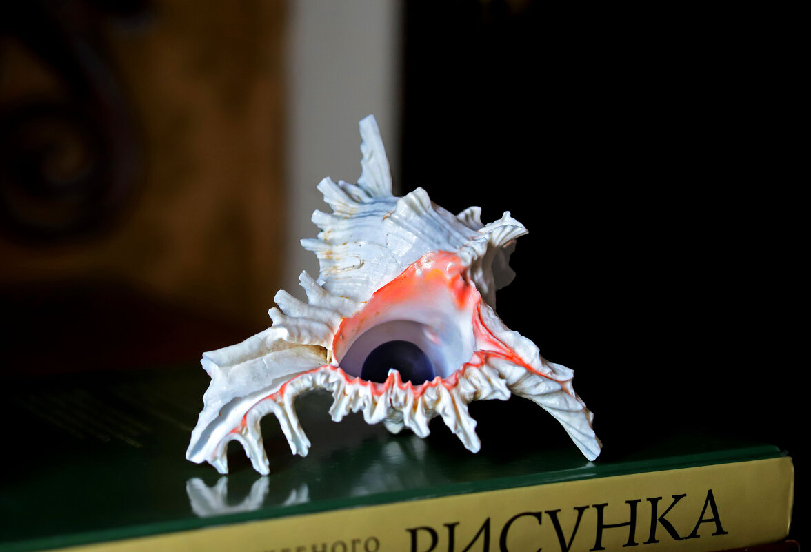 **** - Андрей Л. В.