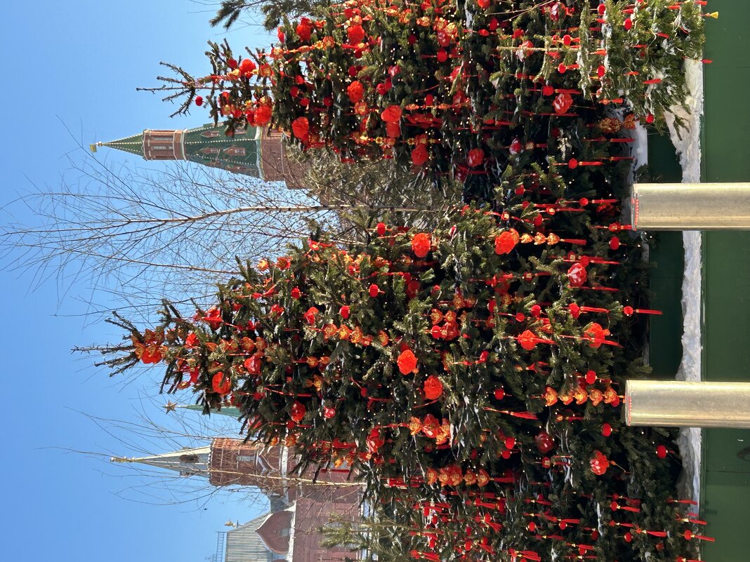 Уходящая зима 2026 - Натали 