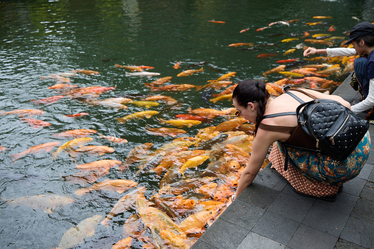 Кормление рыб 2 - Андрей Город Кормление рыб 2 - Андрей Город