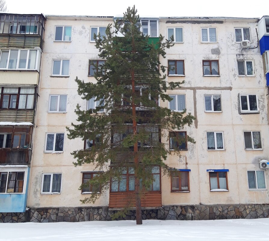 Мой двор - Венера Чуйкова Мой двор - Венера Чуйкова