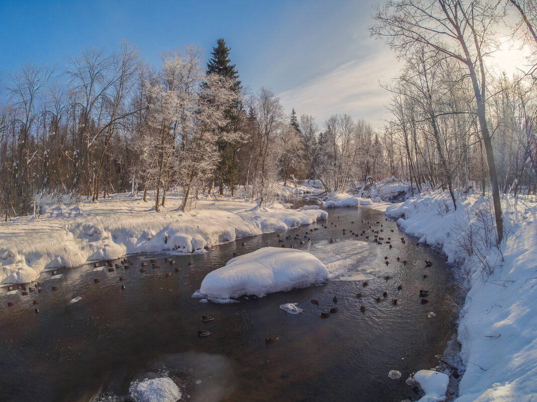 Воря. - Николай Воря. - Николай
