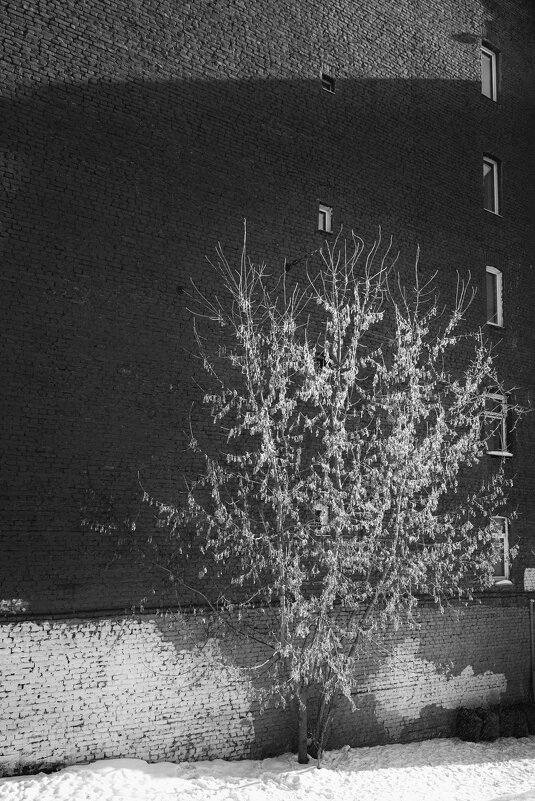 * - Светлана Воробьева