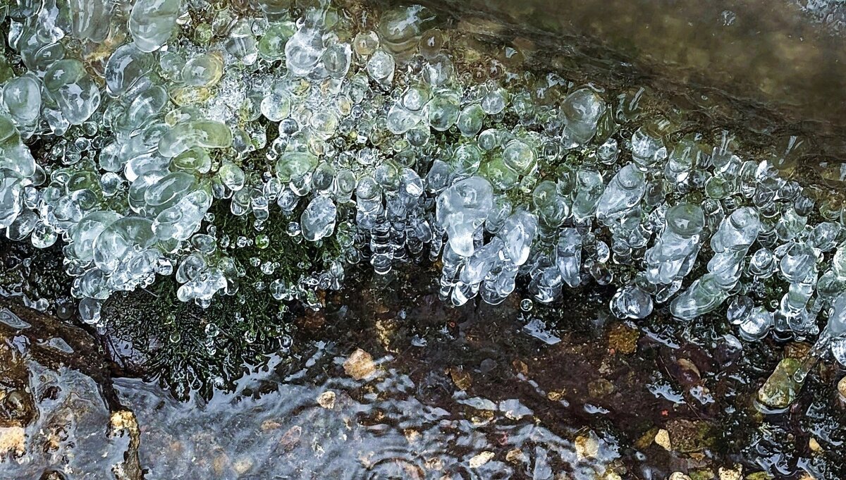 Льдинки - Мария - Maria