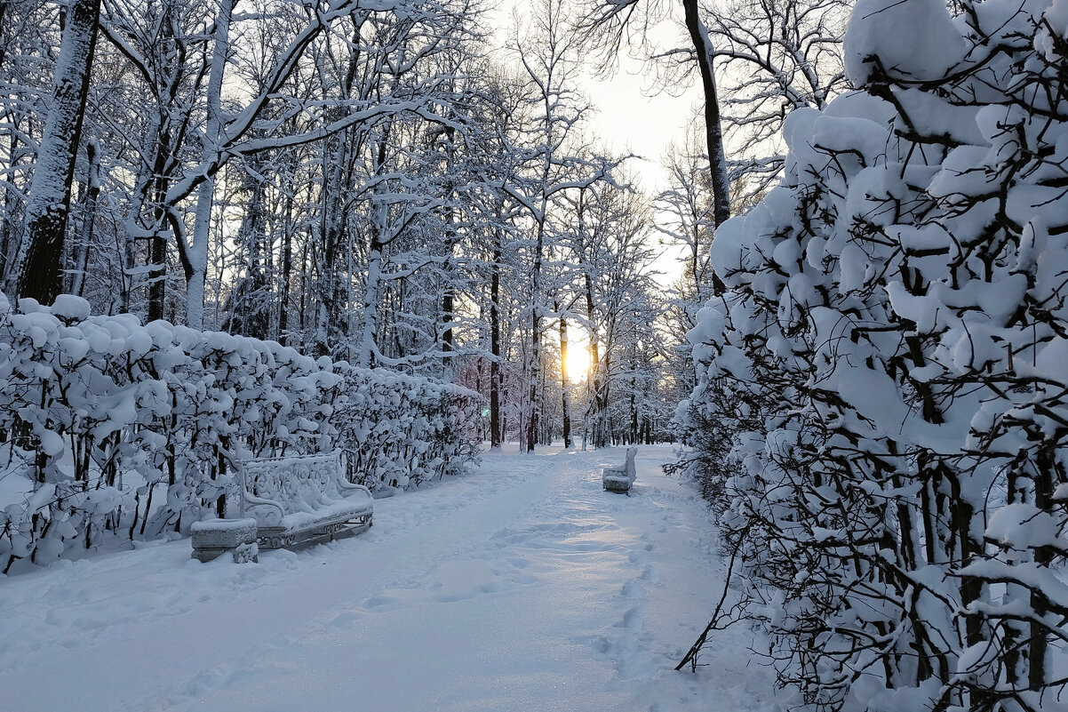 .. и снегу намело - tipchik 