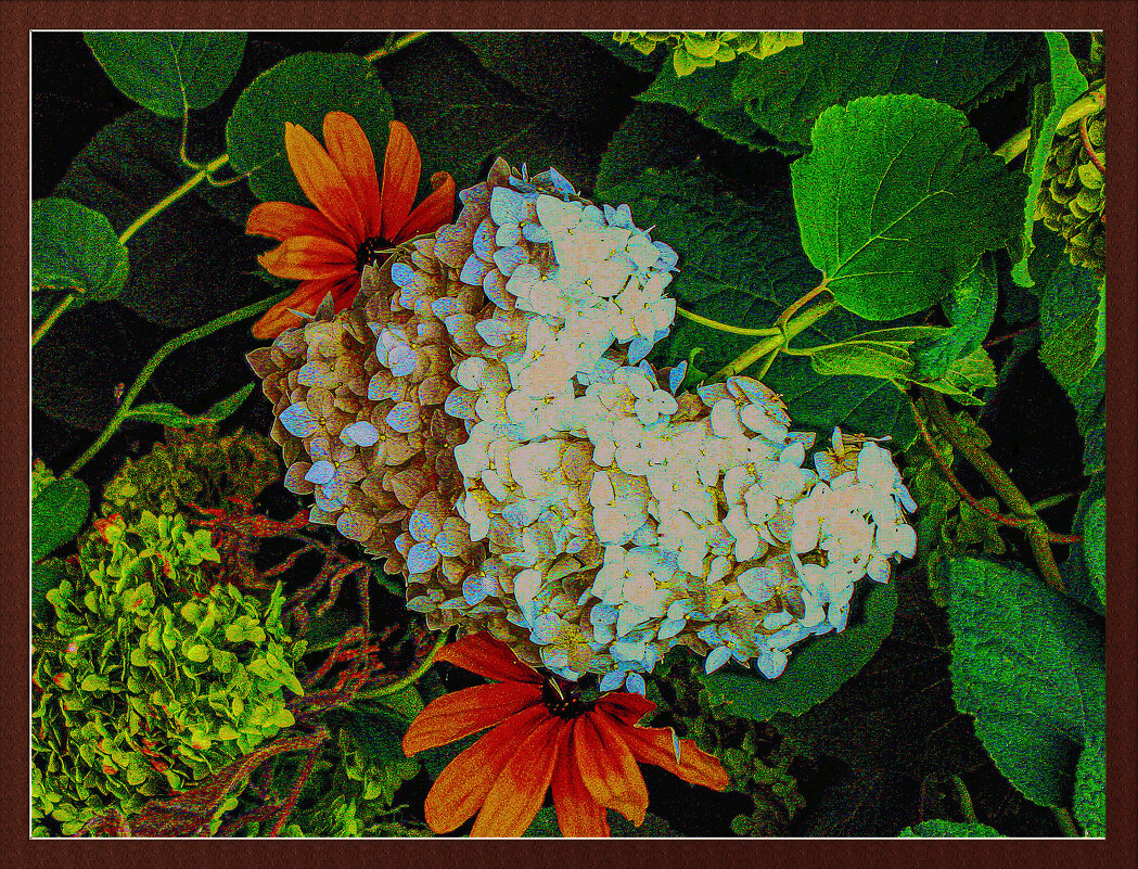 Цветение - Владимир Кроливец