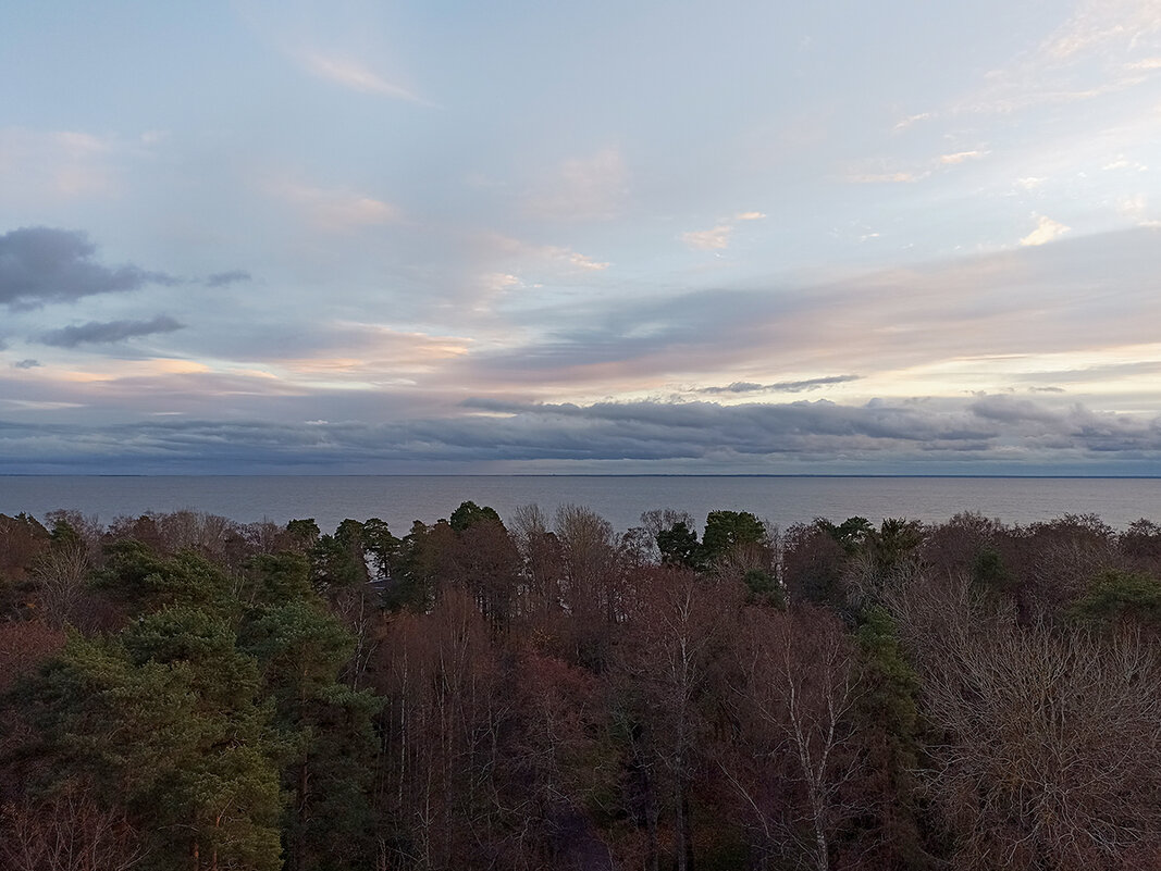 Рассвет занялся. - Лилия * Рассвет занялся. - Лилия *