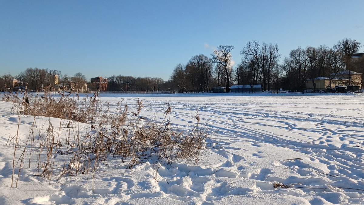 Петергоф. Ольгин пруд - Наталья Герасимова