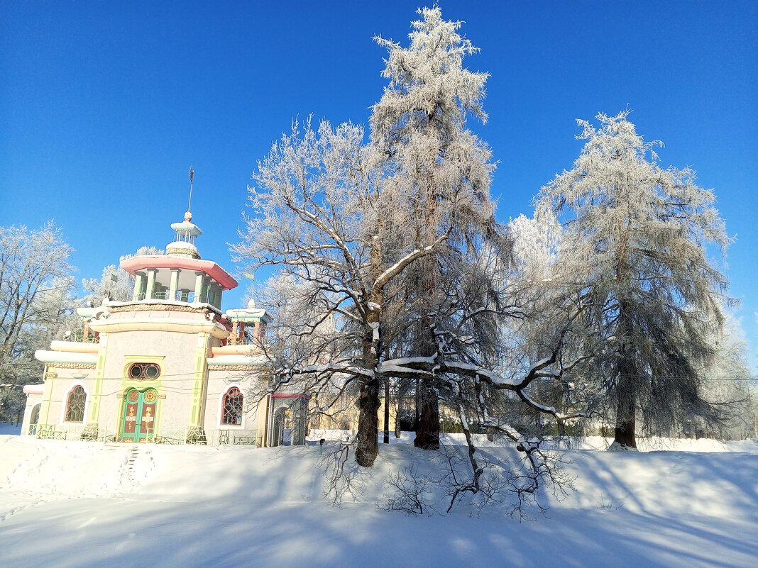 Изморозь - Сапсан 