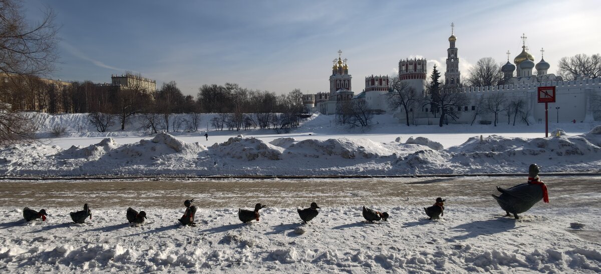 Новодевичий монастырь и Дорогу утятам - <<< Наташа >>>