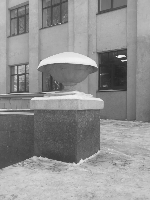 зимний гриб - zavitok * зимний гриб - zavitok *