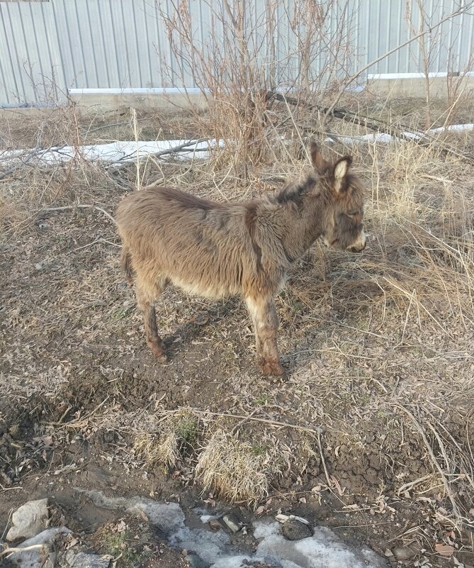 Талгар. - Murat Bukaev 