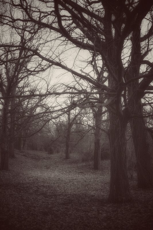 Тревожное очарование забытых мест - Сергей В Тревожное очарование забытых мест - Сергей В