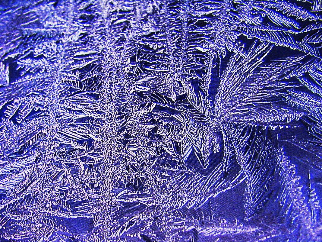 Рисунки мороза - Людмила Смородинская