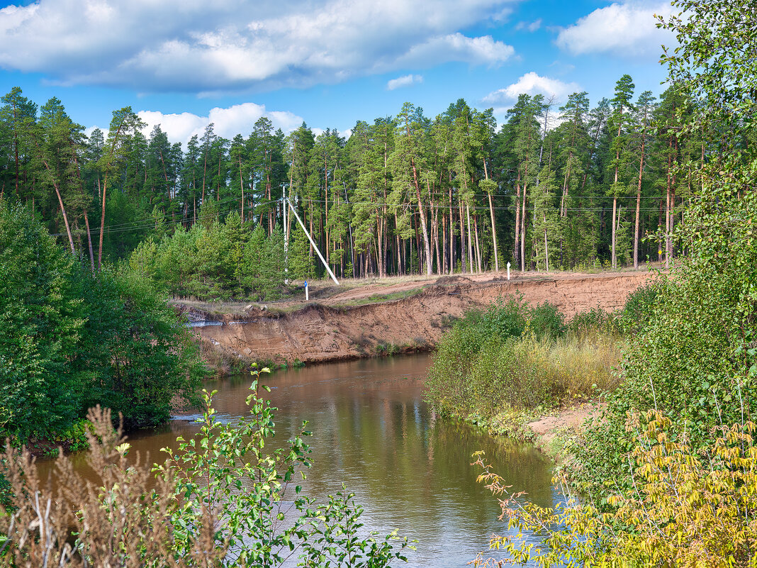 Сосновый бор. - Serj Korinkevich