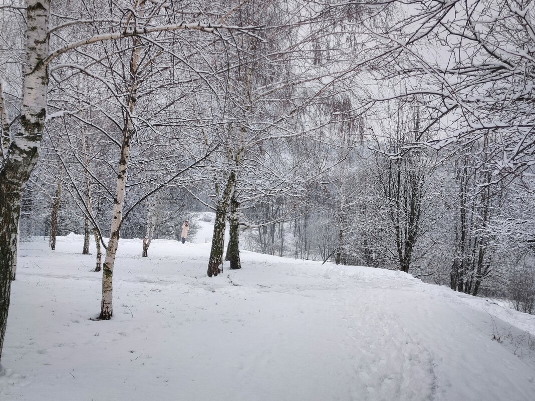 В зимнем парке так бело, так бело ... - Ravile 