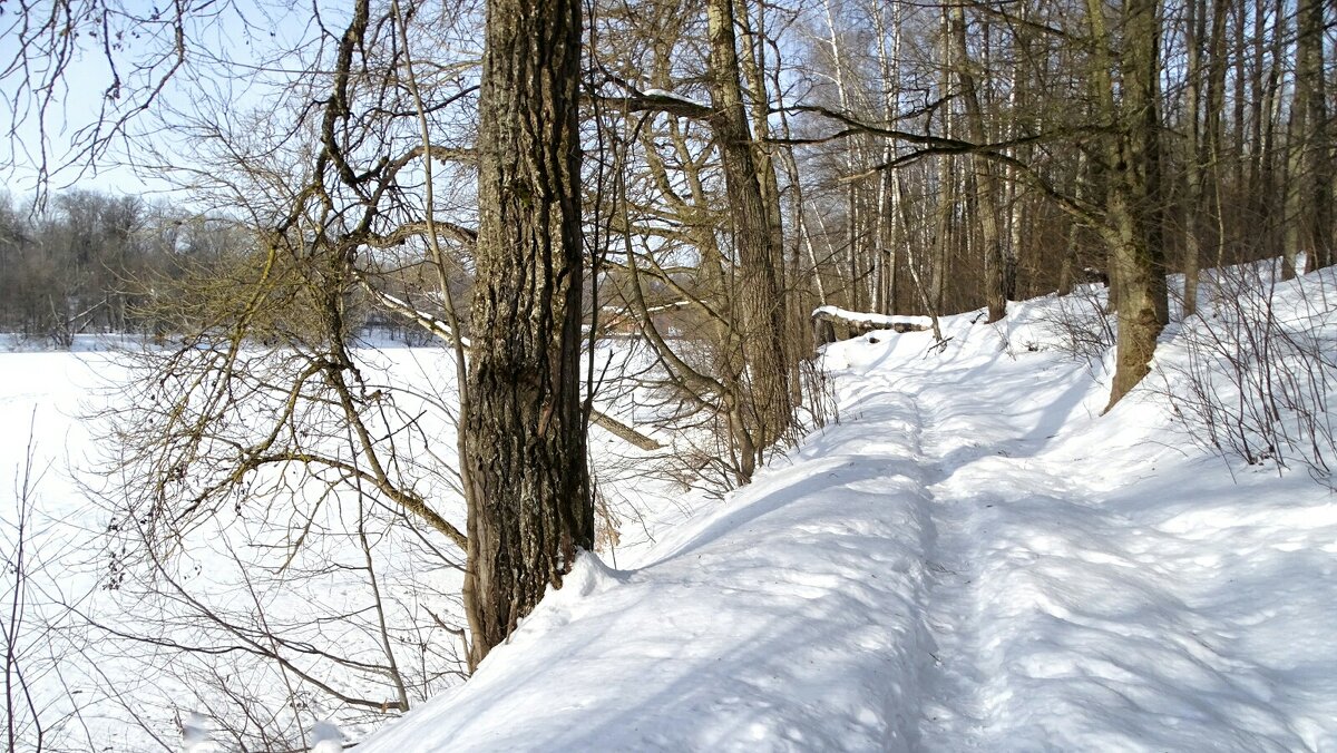 Зима в феврале - Милешкин Владимир Алексеевич 