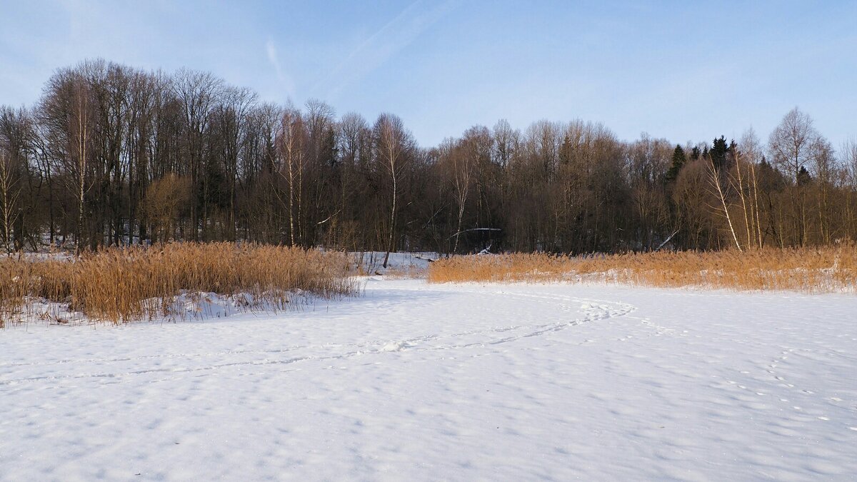 Озёра Смоленщины - Милешкин Владимир Алексеевич 