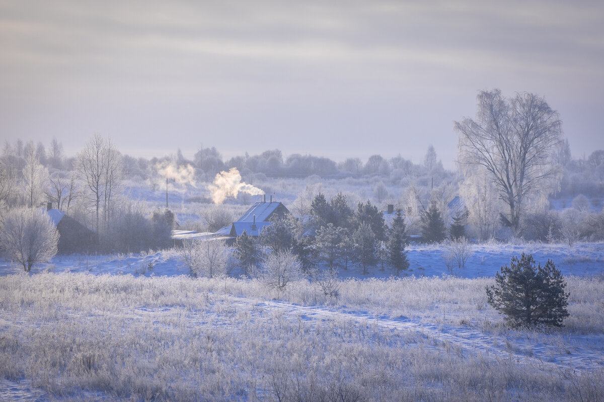 **** - Елизавета .