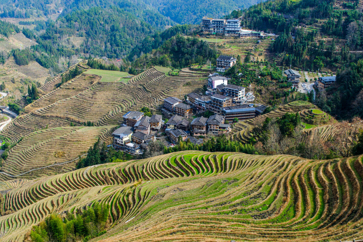 Террасные рисовые поля - Георгий А Террасные рисовые поля - Георгий А