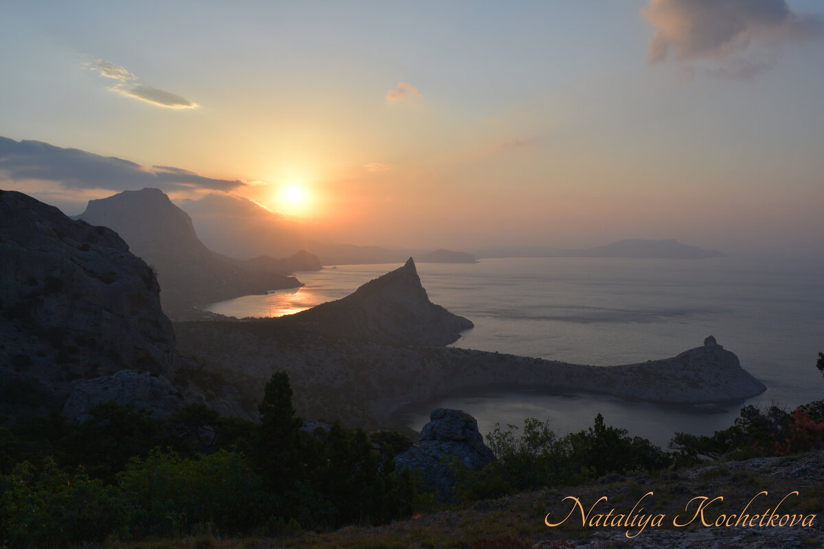 Природа Крыма - Amazing Cosmea