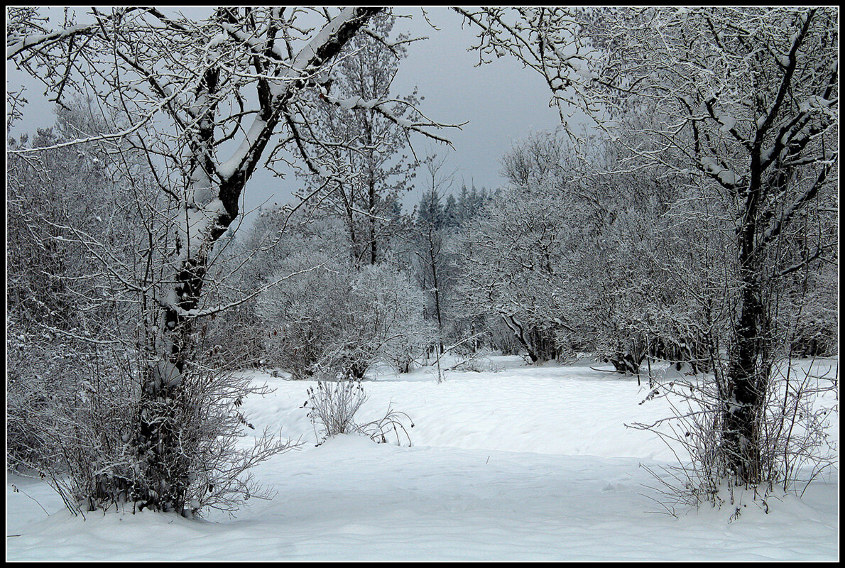 *** - Aleksandr Gal *** - Aleksandr Gal