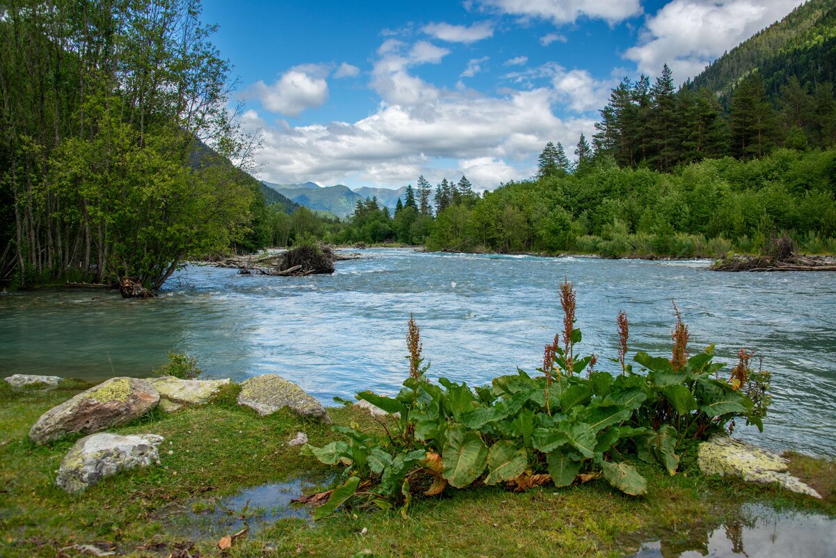 ... - Михаил Вишняков