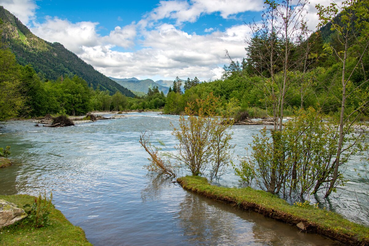 ... - Михаил Вишняков