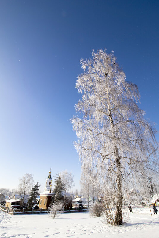 Зимнее, холодное утро. - Николай 