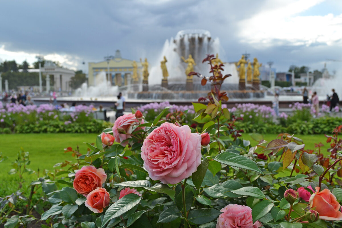 Красота, не требующая жертв - Борис Русаков