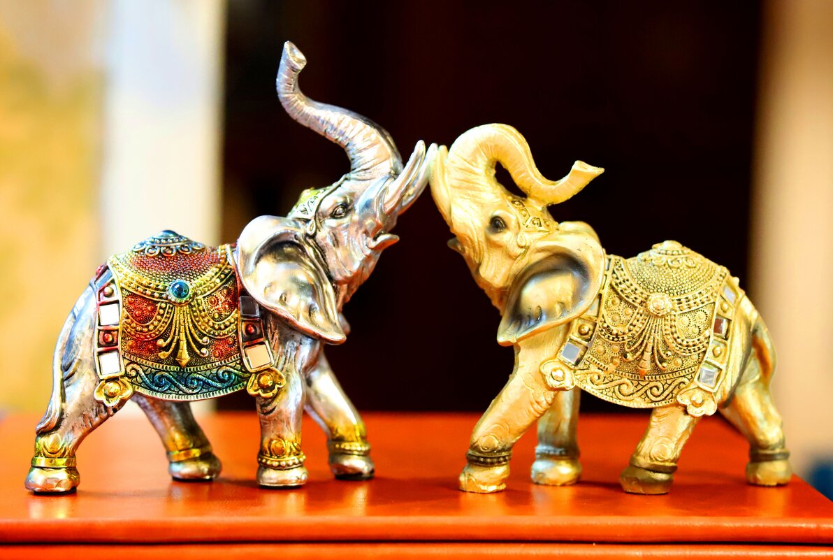 **** - Андрей Л. В.