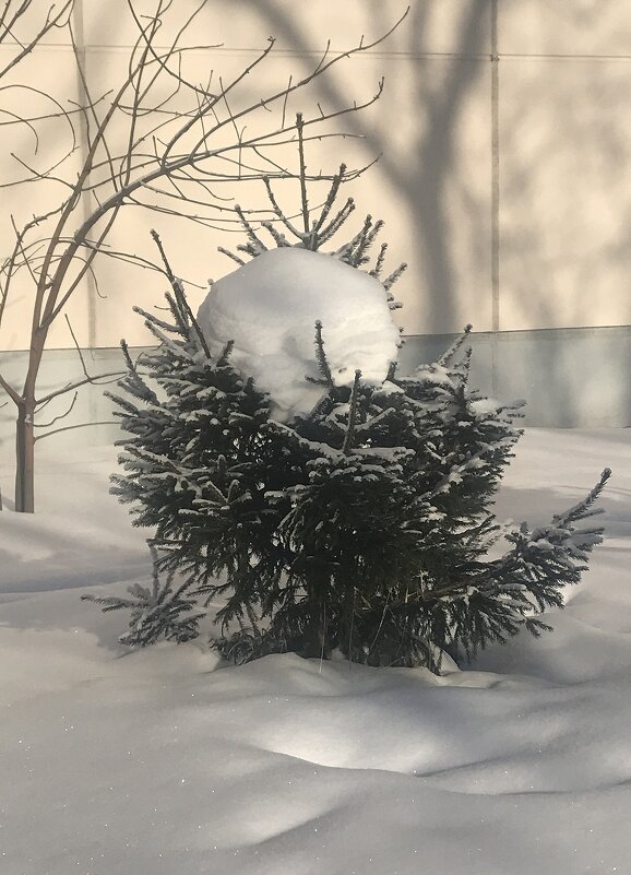 "...такого снегопада давно не помнят здешние места..." - zavitok * "...такого снегопада давно не помнят здешние места..." - zavitok *