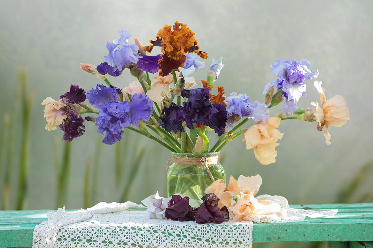 Ирисы - Елена Ахромеева Ирисы - Елена Ахромеева