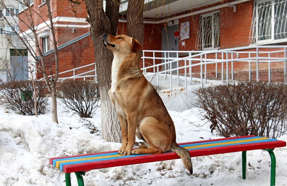 Я готовъ! Фотографируй! - Олегъ Петрович